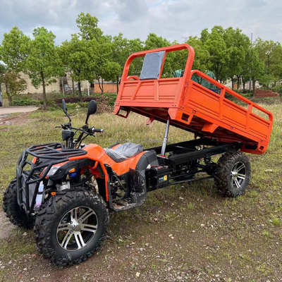 800 1000W 2 cilindri ATV raffreddato ad acqua 250CC 4X4 Off Road Buggy con secchi di carico