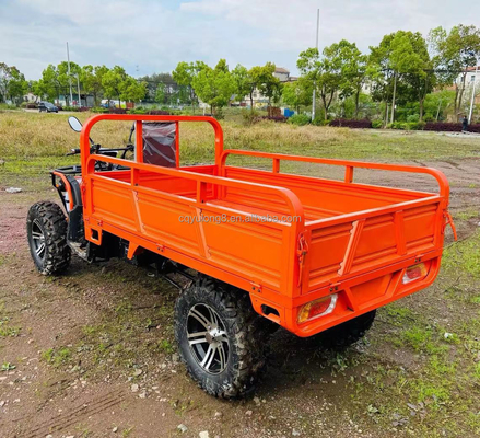 800 1000W 2 cilindri ATV raffreddato ad acqua 250CC 4X4 Off Road Buggy con secchi di carico
