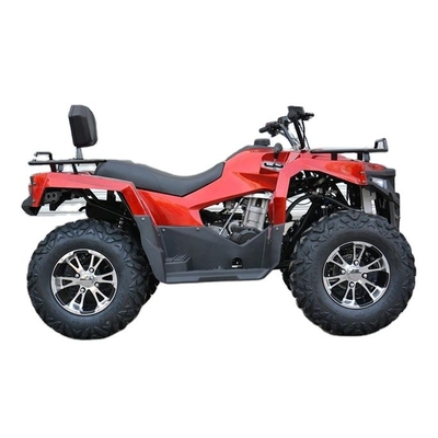 Capacità del serbatoio del carburante 10-20L Motore a 4 tempi Tipo 4 Wheeler ATV 4x4 300cc per guida adulta
