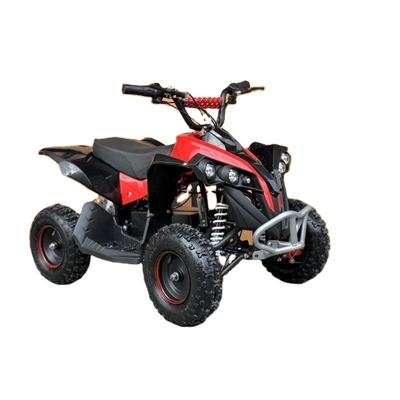 ATV elettrico 36V 800W 48V 1000W Buggy Quad Bike per bambini e adulti