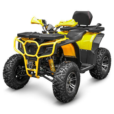 250cc Motore a benzina ATV Quad Bike Buggy UTV 200cc Off-Road Motorcycle con motore potente