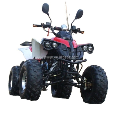 Veicolo fuoristrada da 125cc per adulti personalizzabile con motore naturale raffreddato ad aria