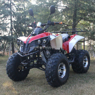 Veicolo fuoristrada da 125cc per adulti personalizzabile con motore naturale raffreddato ad aria