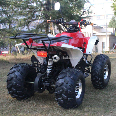 Veicolo fuoristrada da 125cc per adulti personalizzabile con motore naturale raffreddato ad aria