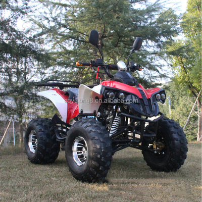 Veicolo fuoristrada da 125cc per adulti personalizzabile con motore naturale raffreddato ad aria