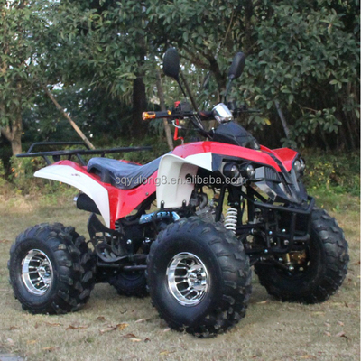 Veicolo fuoristrada da 125cc per adulti personalizzabile con motore naturale raffreddato ad aria