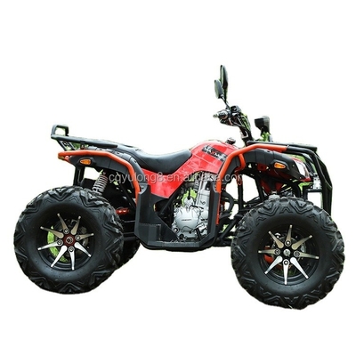 Personalizza la tua corsa Big Bull 300cc 4*4 Adult Off-Road ATV con 300mm di distanza da terra