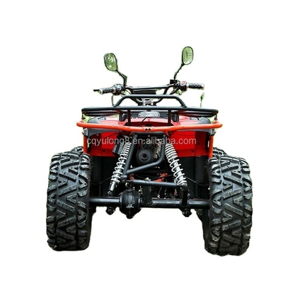 Personalizza la tua corsa Big Bull 300cc 4*4 Adult Off-Road ATV con 300mm di distanza da terra
