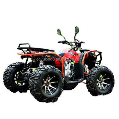 Personalizza la tua corsa Big Bull 300cc 4*4 Adult Off-Road ATV con 300mm di distanza da terra
