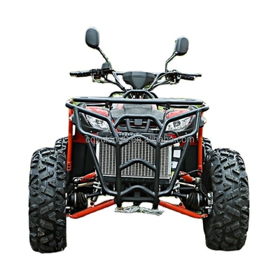 Personalizza la tua corsa Big Bull 300cc 4*4 Adult Off-Road ATV con 300mm di distanza da terra