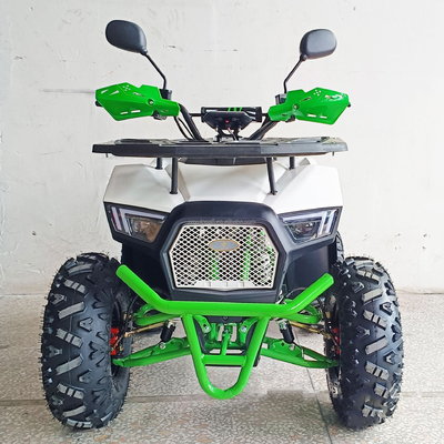 Scopri la potenza del nostro ATV elettrico da 1000 W con quattro ruote per adulti