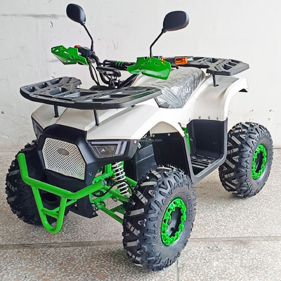 Scopri la potenza del nostro ATV elettrico da 1000 W con quattro ruote per adulti