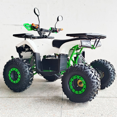 Scopri la potenza del nostro ATV elettrico da 1000 W con quattro ruote per adulti