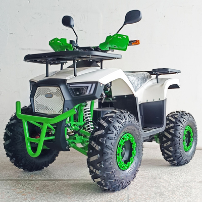 Scopri la potenza del nostro ATV elettrico da 1000 W con quattro ruote per adulti
