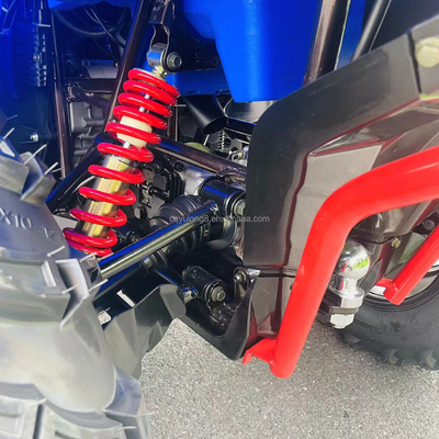 Drift Kart all'aria aperta ATV a quattro ruote motrici 550cc 850cc 1000cc per avventure all'aria aperta