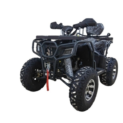 4WD ATV Quad Bike Buggy UTV Go Kart 250CC con 200-250 mm di distanza minima