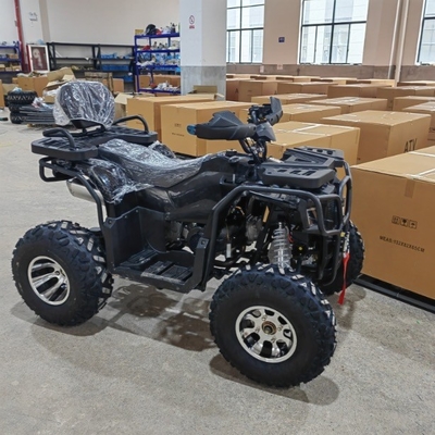 4WD ATV Quad Bike Buggy UTV Go Kart 250CC con 200-250 mm di distanza minima