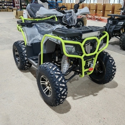 4WD ATV Quad Bike Buggy UTV Go Kart 250CC con 200-250 mm di distanza minima