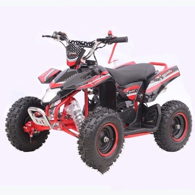 Display LCD Motociclo elettrico quattro ruote quadriciclo 500W 800W per bambini adulti