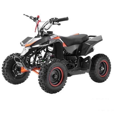 Display LCD Motociclo elettrico quattro ruote quadriciclo 500W 800W per bambini adulti