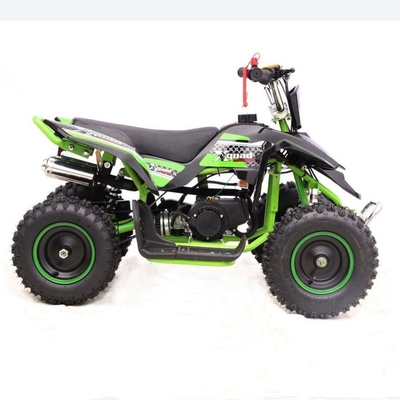 Display LCD Motociclo elettrico quattro ruote quadriciclo 500W 800W per bambini adulti