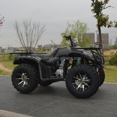 ATV off-road a quattro ruote a quattro tempi da 250cc con azionamento a catena e funzionalità di personalizzazione