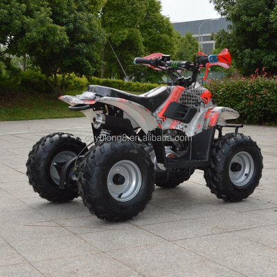 110cc Catena rotante quattro ruote ATV Torque massima Nm 20-40Nm chilometraggio di guida 50-70km