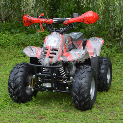 110cc Catena rotante quattro ruote ATV Torque massima Nm 20-40Nm chilometraggio di guida 50-70km
