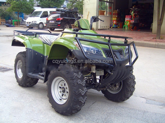 ATV elettrico per adulti 2 posti Alpinista 200cc 250cc 150cc Veicolo tutto terreno