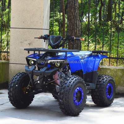 125cc/150cc ATV a quattro ruote 4 tempi Quattro ruote per guida sportiva tipo 4WD
