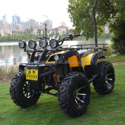Potente ATV elettrico per adulti a catena azionamento 18V tensione trasmissione automatica