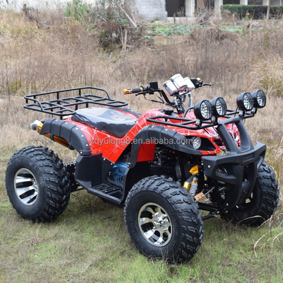 Potente ATV elettrico per adulti a catena azionamento 18V tensione trasmissione automatica