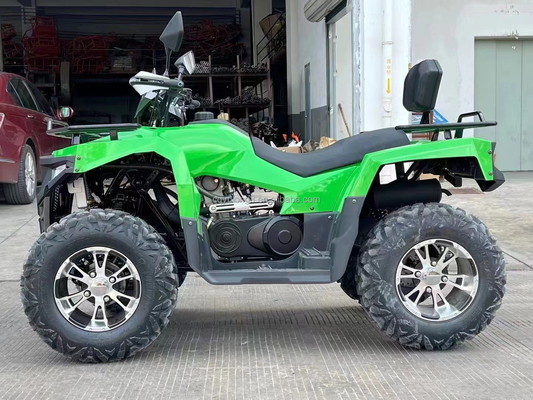 Motore a catena 300cc Gioco sportivo all'aria aperta Quad Bike elettrico Adulto ATV 4x4