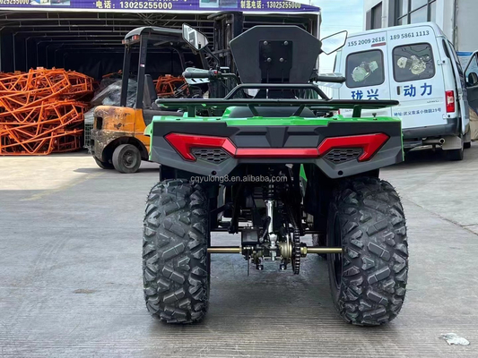 Motore a catena 300cc Gioco sportivo all'aria aperta Quad Bike elettrico Adulto ATV 4x4