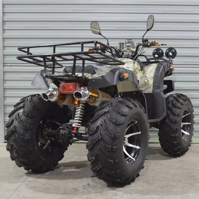 300 kg capacità di classificazione 250cc Off Road 4 ruote moto ATV per escursioni off-road